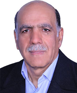 حسن زمانی علویجه